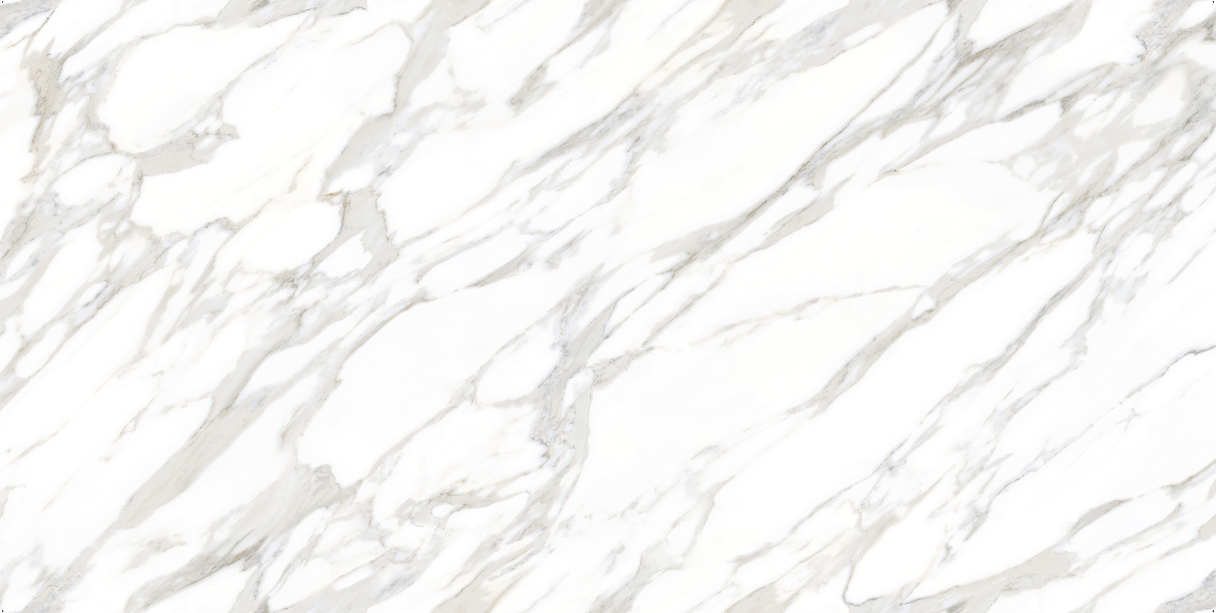 ASCALE DUCAL GOLD POLI