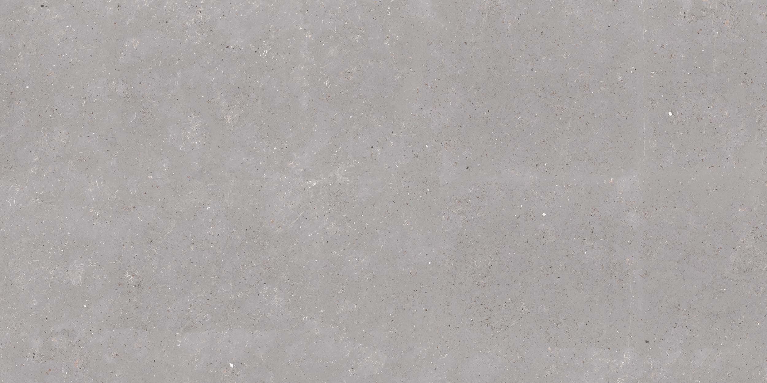 ASCALE DUNE GRAY FEEL **