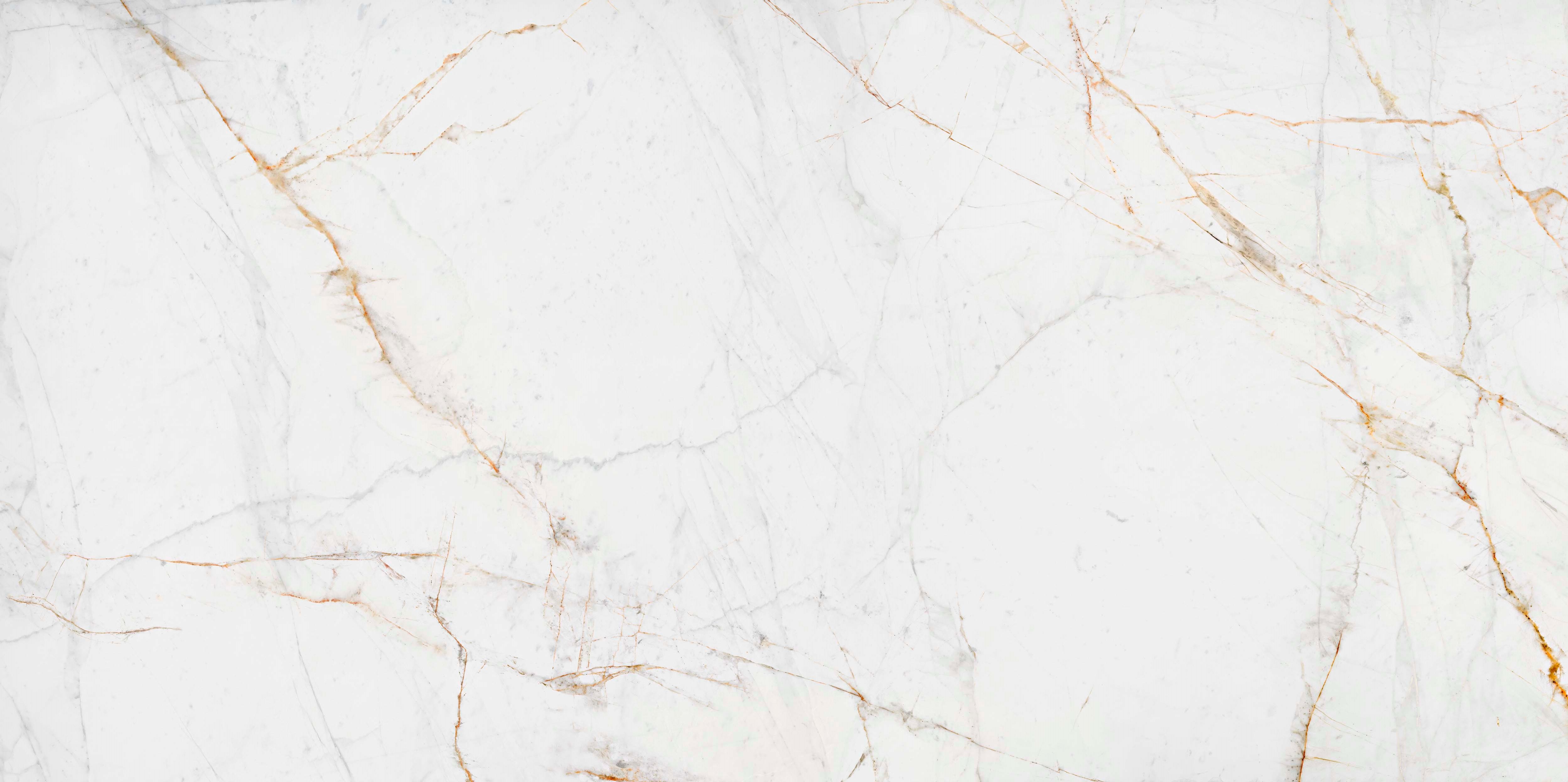 ASCALE LUCCA GOLD POLI