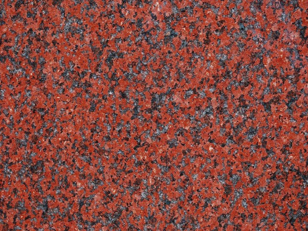 AFRICAN RED  POLI