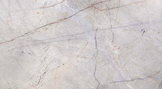 Tranche de MARBRE SILVER ROOTS POLI finition Poli
