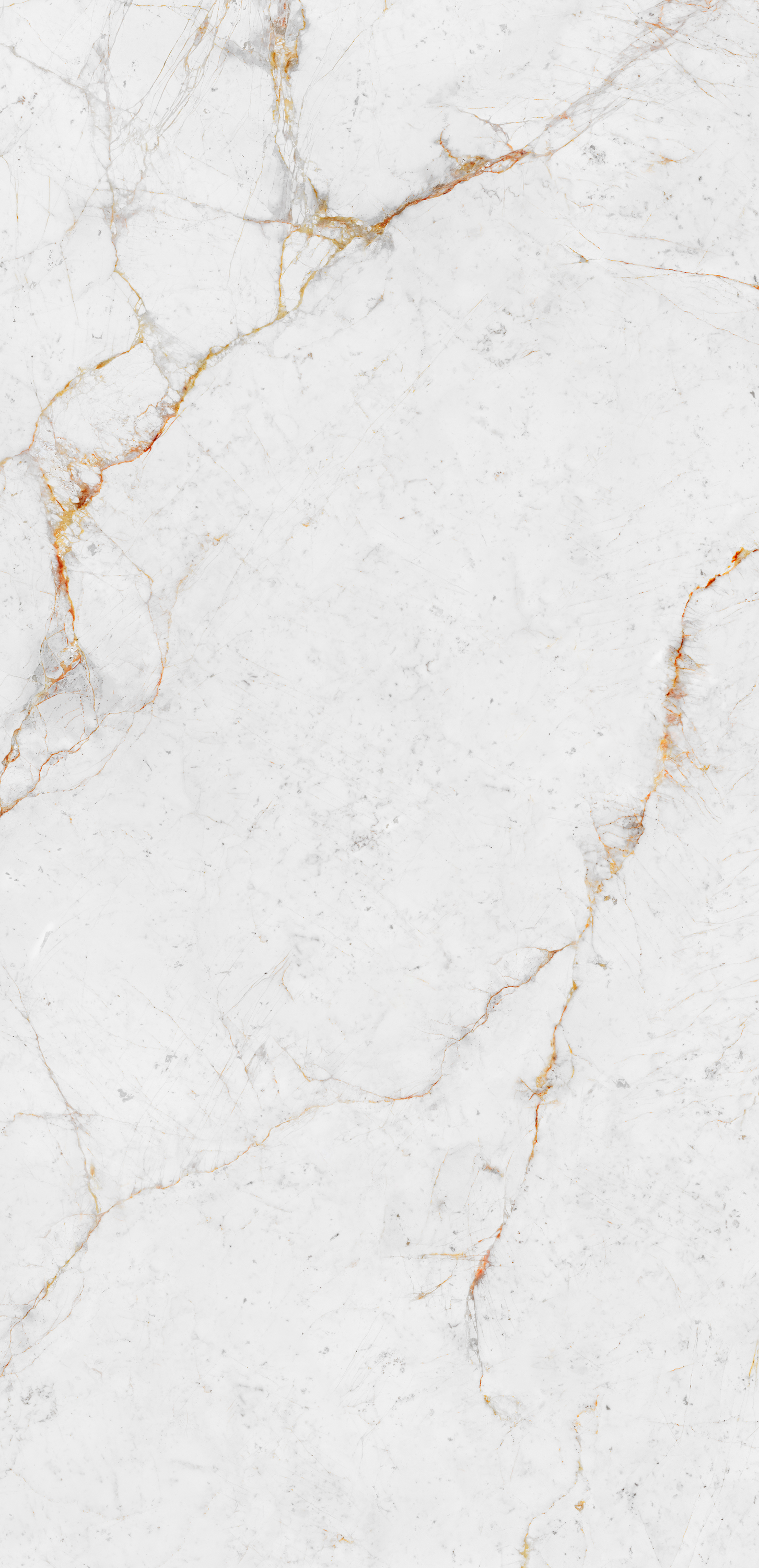 Tranche de CERAMIQUE NEOLITH NEOLITH ABU DHABI WHITE POLI finition Poli