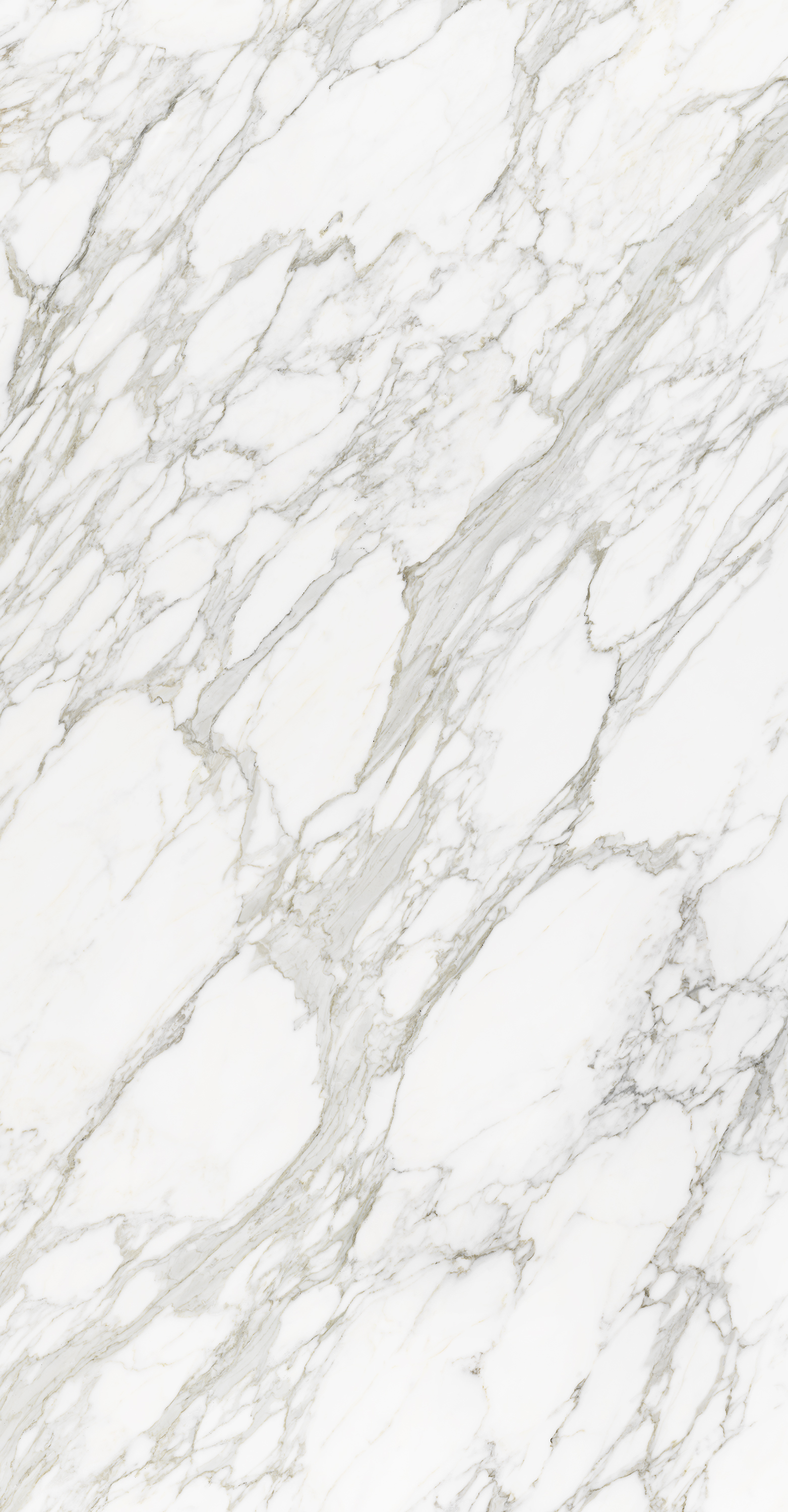 Tranche de CERAMIQUE NEOLITH NEOLITH CALACATTA ROYALE SILK finition Silk