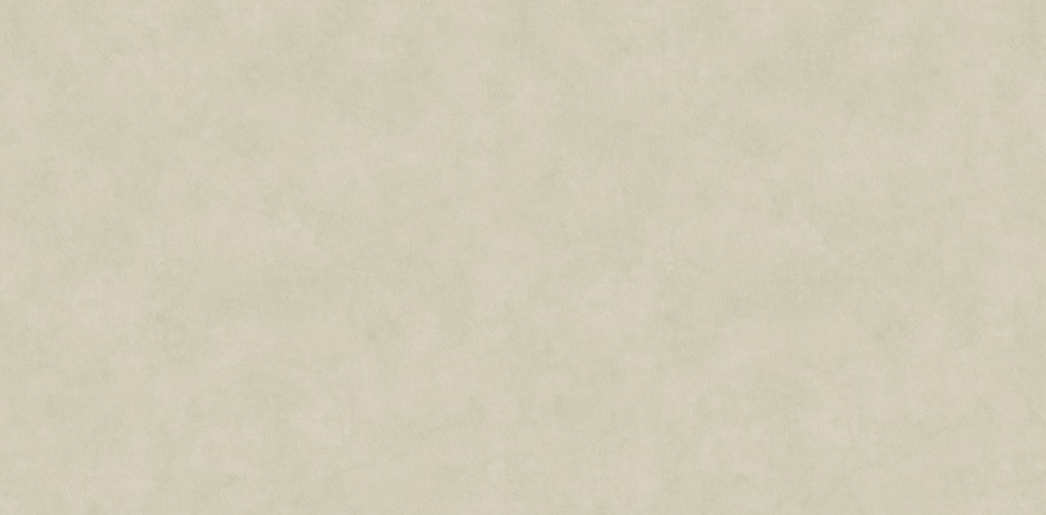 Tranche de CERAMIQUE NEOLITH NEOLITH PIETRA DI OSSO SILK finition Silk