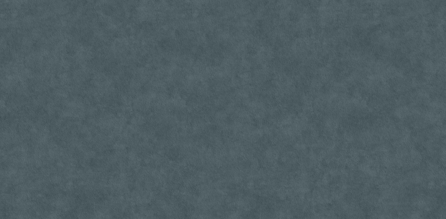 Tranche de CERAMIQUE NEOLITH NEOLITH PIETRA DI PIOMBO SILK finition Silk