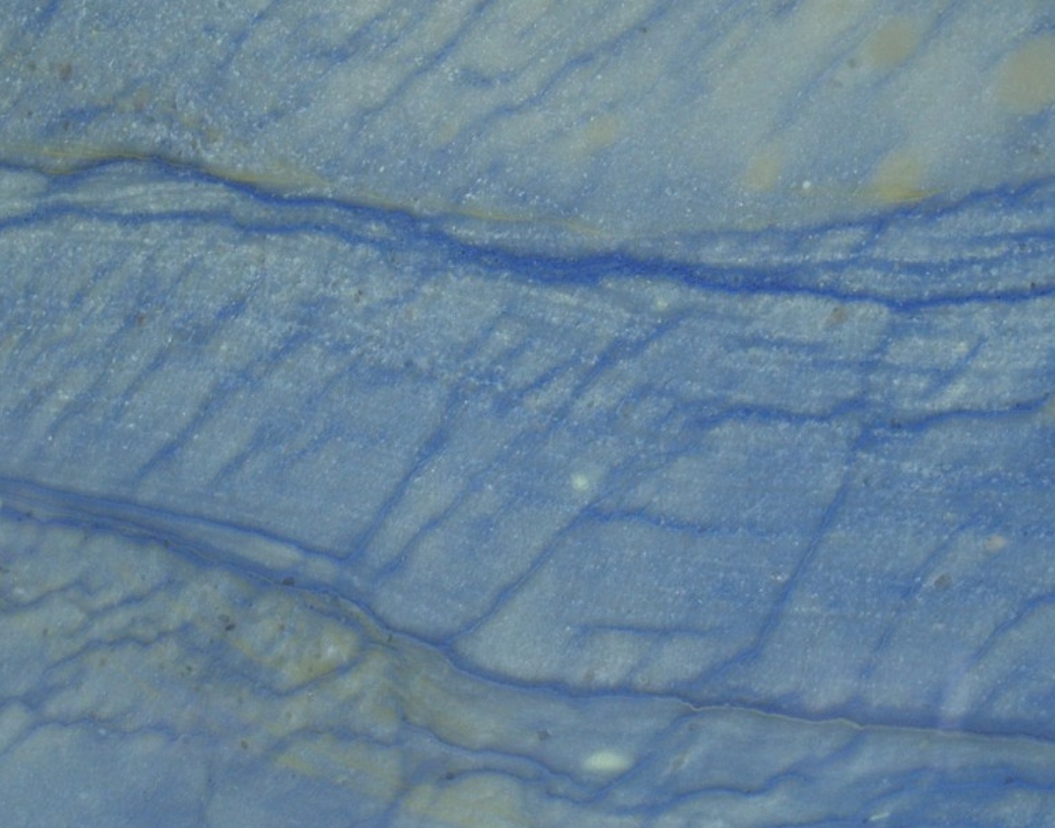 Tranche de QUARTZITE AZUL MACAUBAS POLI finition Poli