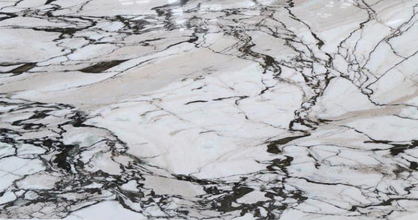 Tranche de QUARTZITE ZEEBRA POLI finition Poli
