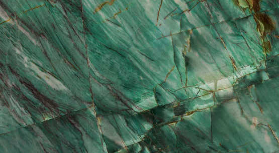Tranche de QUARTZITE BOTANIC GREEN POLI finition Poli