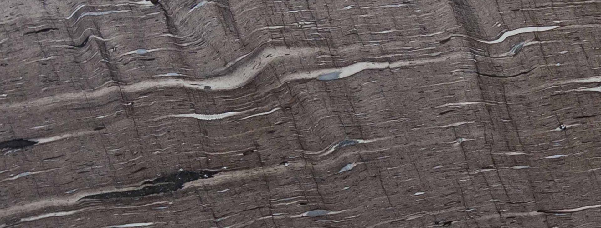Tranche de QUARTZITE DELICATUS BROWNBROWN SILK CUIR finition Cuir