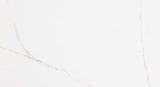 Tranche de COMPOSITE QUARTZ  DIRESCO NOBLESSE GOLD POLI JUMBO finition Poli