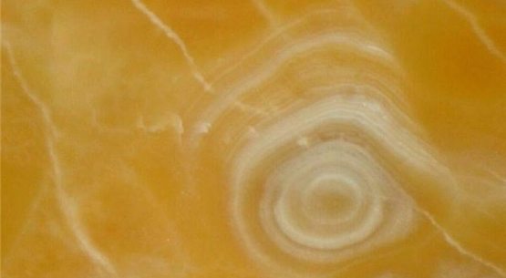 ONYX ORANGE POLI