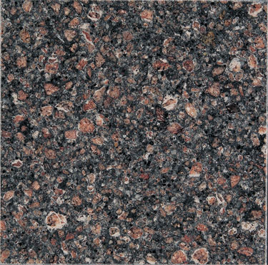 VESTA NEGRO POLI